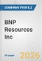 BNP Resources Inc Fundamental Company Report Including Financial, SWOT, Competitors and Industry Analysis - Product Thumbnail Image