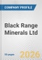 Black Range Minerals Ltd. Fundamental Company Report Including Financial, SWOT, Competitors and Industry Analysis - Product Thumbnail Image