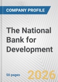 The National Bank for Development Fundamental Company Report Including Financial, SWOT, Competitors and Industry Analysis- Product Image