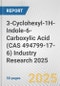 3-Cyclohexyl-1H-Indole-6-Carboxylic Acid (CAS 494799-17-6) Industry Research 2025: Global and Regional Market Trends 2019-2024 and Forecast to 2029 - Product Thumbnail Image