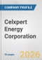 Celxpert Energy Corporation Fundamental Company Report Including Financial, SWOT, Competitors and Industry Analysis - Product Thumbnail Image