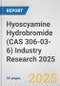 Hyoscyamine Hydrobromide (CAS 306-03-6) Industry Research 2025: Global and Regional Market Trends 2019-2024 and Forecast to 2029 - Product Thumbnail Image