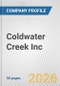Coldwater Creek Inc. Fundamental Company Report Including Financial, SWOT, Competitors and Industry Analysis - Product Thumbnail Image