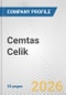 Cemtas Celik Fundamental Company Report Including Financial, SWOT, Competitors and Industry Analysis - Product Thumbnail Image