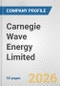 Carnegie Wave Energy Limited Fundamental Company Report Including Financial, SWOT, Competitors and Industry Analysis - Product Thumbnail Image