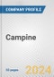 Campine Fundamental Company Report Including Financial, SWOT, Competitors and Industry Analysis - Product Thumbnail Image