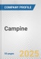 Campine Fundamental Company Report Including Financial, SWOT, Competitors and Industry Analysis - Product Thumbnail Image