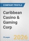 Caribbean Casino & Gaming Corp. Fundamental Company Report Including Financial, SWOT, Competitors and Industry Analysis - Product Thumbnail Image