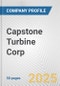 Capstone Turbine Corp. Fundamental Company Report Including Financial, SWOT, Competitors and Industry Analysis - Product Thumbnail Image