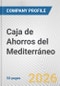 Caja de Ahorros del Mediterráneo Fundamental Company Report Including Financial, SWOT, Competitors and Industry Analysis - Product Thumbnail Image