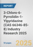 3-Chloro-6-Pyrrolidin-1-Ylpyridazine (CAS 66346-85-8) Industry Research 2025: Global and Regional Market Trends 2019-2024 and Forecast to 2029- Product Image