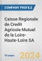 Caisse Regionale de Credit Agricole Mutuel de la Loire-Haute-Loire SA Fundamental Company Report Including Financial, SWOT, Competitors and Industry Analysis - Product Thumbnail Image