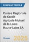 Caisse Regionale de Credit Agricole Mutuel de la Loire-Haute-Loire SA Fundamental Company Report Including Financial, SWOT, Competitors and Industry Analysis - Product Thumbnail Image