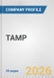 TAMP Fundamental Company Report Including Financial, SWOT, Competitors and Industry Analysis - Product Thumbnail Image