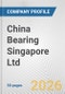 China Bearing Singapore Ltd. Fundamental Company Report Including Financial, SWOT, Competitors and Industry Analysis - Product Thumbnail Image