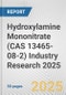 Hydroxylamine Mononitrate (CAS 13465-08-2) Industry Research 2025: Global and Regional Market Trends 2019-2024 and Forecast to 2029 - Product Thumbnail Image