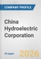 China Hydroelectric Corporation Fundamental Company Report Including Financial, SWOT, Competitors and Industry Analysis - Product Thumbnail Image