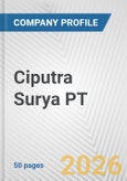 Ciputra Surya PT Fundamental Company Report Including Financial, SWOT, Competitors and Industry Analysis- Product Image