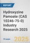 Hydroxyzine Pamoate (CAS 10246-75-0) Industry Research 2025: Global and Regional Market Trends 2019-2024 and Forecast to 2029 - Product Image