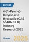 4-(1-Pyrene)-Butyric Acid Hydrazide (CAS 55486-13-0) Industry Research 2025: Global and Regional Market Trends 2019-2024 and Forecast to 2029 - Product Image