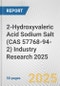 2-Hydroxyvaleric Acid Sodium Salt (CAS 57768-94-2) Industry Research 2025: Global and Regional Market Trends 2019-2024 and Forecast to 2029 - Product Image