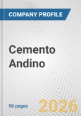 Cemento Andino Fundamental Company Report Including Financial, SWOT, Competitors and Industry Analysis- Product Image