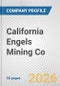 California Engels Mining Co. Fundamental Company Report Including Financial, SWOT, Competitors and Industry Analysis - Product Thumbnail Image