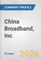 China Broadband, Inc. Fundamental Company Report Including Financial, SWOT, Competitors and Industry Analysis - Product Thumbnail Image