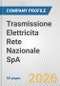 Trasmissione Elettricita Rete Nazionale SpA Fundamental Company Report Including Financial, SWOT, Competitors and Industry Analysis - Product Thumbnail Image