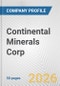 Continental Minerals Corp. Fundamental Company Report Including Financial, SWOT, Competitors and Industry Analysis - Product Thumbnail Image
