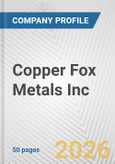 Copper Fox Metals Inc. Fundamental Company Report Including Financial, SWOT, Competitors and Industry Analysis- Product Image
