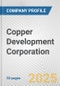 Copper Development Corporation Fundamental Company Report Including Financial, SWOT, Competitors and Industry Analysis - Product Thumbnail Image