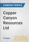 Copper Canyon Resources Ltd. Fundamental Company Report Including Financial, SWOT, Competitors and Industry Analysis - Product Thumbnail Image