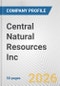 Central Natural Resources Inc. Fundamental Company Report Including Financial, SWOT, Competitors and Industry Analysis - Product Thumbnail Image