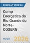 Comp Energetica do Rio Grande do Norte-COSERN Fundamental Company Report Including Financial, SWOT, Competitors and Industry Analysis - Product Thumbnail Image