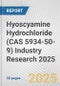 Hyoscyamine Hydrochloride (CAS 5934-50-9) Industry Research 2025: Global and Regional Market Trends 2019-2024 and Forecast to 2029 - Product Image