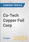Co-Tech Copper Foil Corp. Fundamental Company Report Including Financial, SWOT, Competitors and Industry Analysis - Product Thumbnail Image