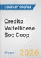 Credito Valtellinese Soc Coop Fundamental Company Report Including Financial, SWOT, Competitors and Industry Analysis - Product Thumbnail Image