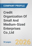 Credit Organization Of Small And Medium-Sized Enterprises Co.,Ltd. Fundamental Company Report Including Financial, SWOT, Competitors and Industry Analysis- Product Image