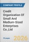 Credit Organization Of Small And Medium-Sized Enterprises Co.,Ltd. Fundamental Company Report Including Financial, SWOT, Competitors and Industry Analysis - Product Thumbnail Image