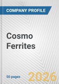 Cosmo Ferrites Fundamental Company Report Including Financial, SWOT, Competitors and Industry Analysis- Product Image