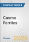 Cosmo Ferrites Fundamental Company Report Including Financial, SWOT, Competitors and Industry Analysis - Product Thumbnail Image
