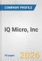 IQ Micro, Inc. Fundamental Company Report Including Financial, SWOT, Competitors and Industry Analysis - Product Thumbnail Image