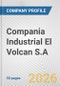 Compania Industrial El Volcan S.A. Fundamental Company Report Including Financial, SWOT, Competitors and Industry Analysis - Product Thumbnail Image