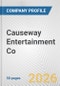 Causeway Entertainment Co Fundamental Company Report Including Financial, SWOT, Competitors and Industry Analysis - Product Thumbnail Image