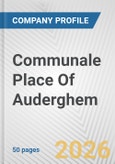 Communale Place Of Auderghem Fundamental Company Report Including Financial, SWOT, Competitors and Industry Analysis- Product Image