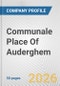 Communale Place Of Auderghem Fundamental Company Report Including Financial, SWOT, Competitors and Industry Analysis - Product Thumbnail Image