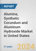 Alumina, Synthetic Corundum and Aluminum Hydroxide Market in United States: Business Report 2024- Product Image