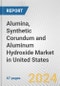 Alumina, Synthetic Corundum and Aluminum Hydroxide Market in United States: Business Report 2024 - Product Thumbnail Image