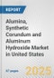 Alumina, Synthetic Corundum and Aluminum Hydroxide Market in United States: Business Report 2025 - Product Thumbnail Image